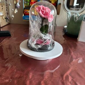 Pink Rose in Glass Dome